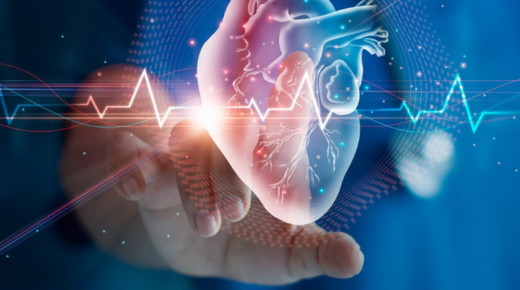 How to Find the Best Cardiologist in Bangalore for Heart Health