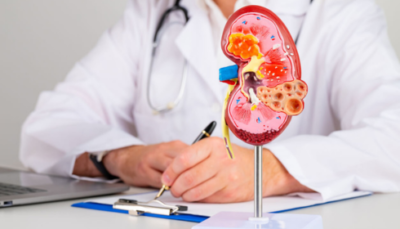 Nephrologist In Bangalore